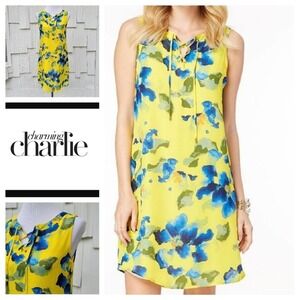 Charming Charlie Floral Laced Front Shift Dress